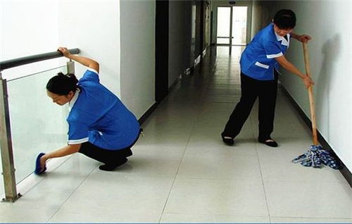 專業(yè)家政服務(wù)專家 莉莉家政，為您提供全方位清洗與保潔解決方案